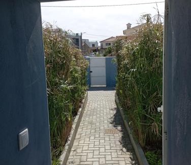Barra House | Yellow Door