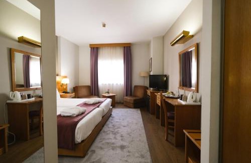 Castelo Branco Hotel | Hotel Rainha D. Amélia, Arts & Leisure