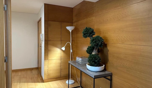 AZORES LAVA APARTMENT T3
