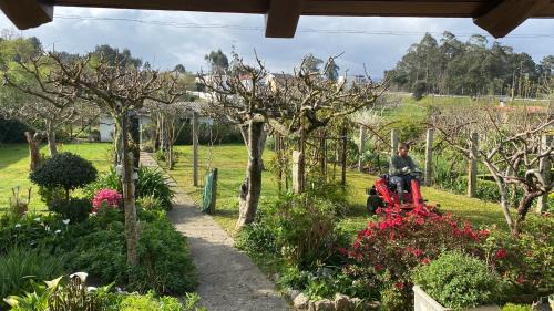 A casa das hortênsias- caminho de Santiago