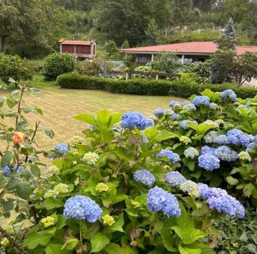 Quinta de São Martinho - Casa Visconde